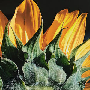 Meet your Posher, Catherine